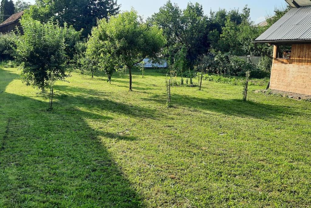 Mura House Vişeu de Sus Eksteriør bilde
